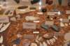 dsc_3261_fs_small.jpg