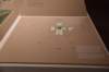 dsc_3269_fs_small.jpg