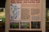 dsc_3291_fs_small.jpg