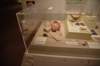 dsc_3295_fs_small.jpg