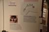 dsc_3301_fs_small.jpg