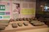 dsc_3323_fs_small.jpg