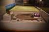 dsc_3329_fs_small.jpg