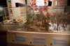 dsc_3344_fs_small.jpg