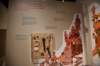 dsc_3350_fs_small.jpg