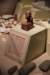 dsc_3365_fs_small.jpg