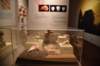 dsc_3376_fs_small.jpg