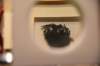 dsc_3380_fs_small.jpg