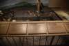 dsc_3400_fs_small.jpg