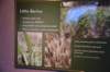 dsc_3408_fs_small.jpg