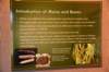 dsc_3410_fs_small.jpg