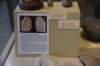 dsc_3413_fs_small.jpg