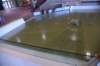dsc_3419_fs_small.jpg