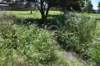 dsc_3432cahokiamoundsgrandplaza_small.jpg