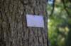 dsc_3433_fs_small.jpg