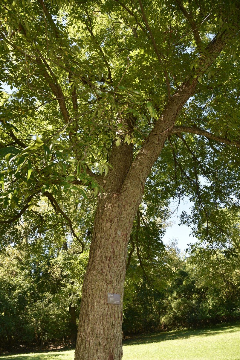 dsc_3434_fs.jpg