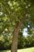 dsc_3434_fs_small.jpg