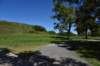 dsc_3437_fs_small.jpg