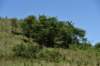 dsc_3438_fs_small.jpg