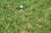 dsc_3439_fs_small.jpg