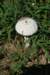 dsc_3440_fs_small.jpg
