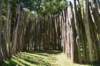 dsc_3448_fs_small.jpg