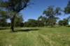 dsc_3450_fs_small.jpg