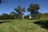 dsc_3451_fs_small.jpg