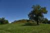 dsc_3454_fs_small.jpg