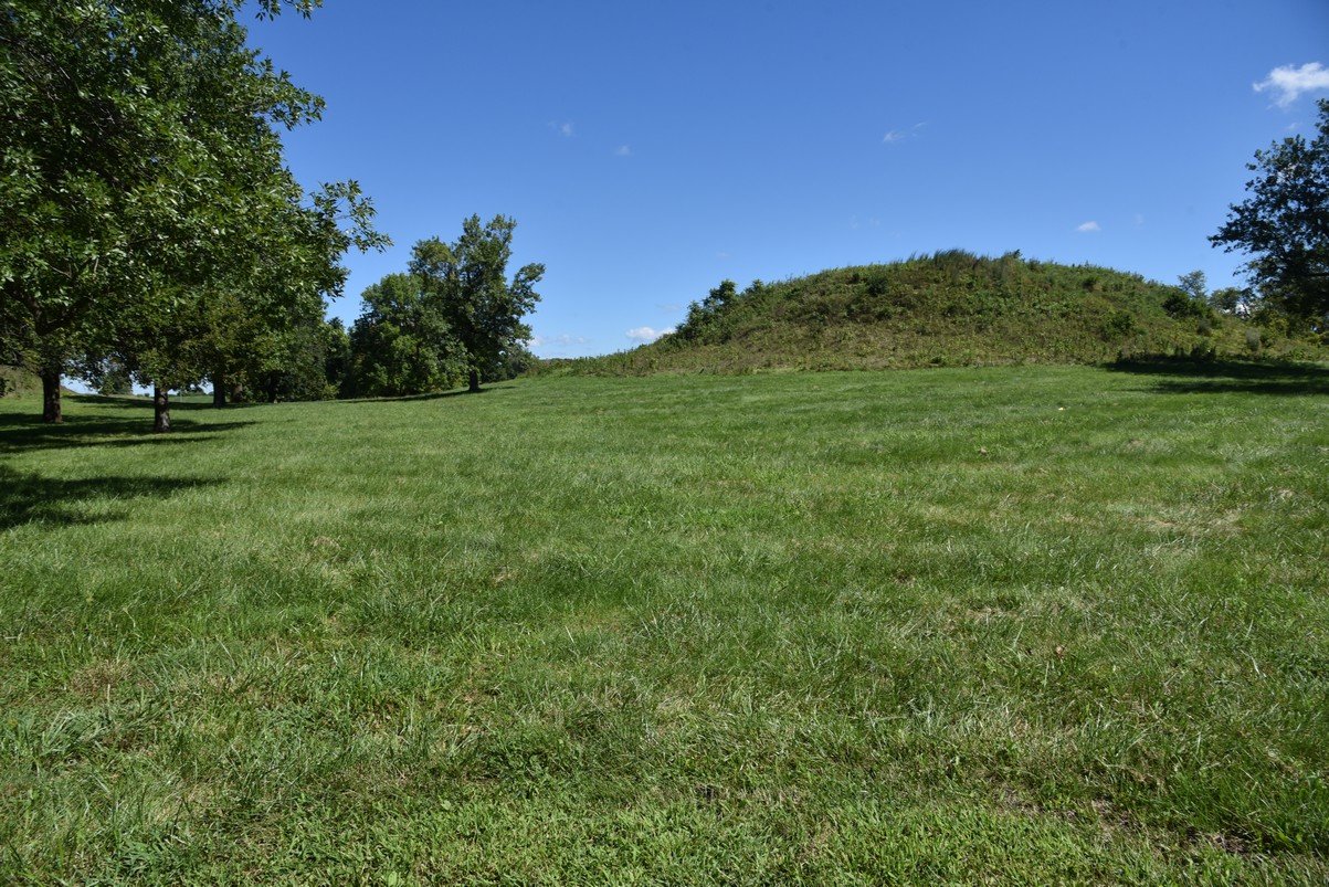 dsc_3463_fs.jpg