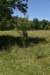 dsc_3465_fs_small.jpg