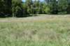 dsc_3469_fs_small.jpg