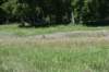dsc_3470_fs_small.jpg