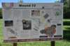 dsc_3474_fs_small.jpg