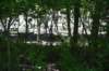 dsc_3479_fs_small.jpg