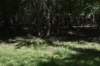 dsc_3482_fs_small.jpg