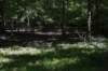 dsc_3483_fs_small.jpg