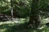 dsc_3484_fs_small.jpg