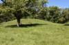 dsc_3491_fs_small.jpg