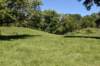 dsc_3492_fs_small.jpg