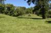 dsc_3493_fs_small.jpg