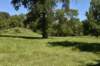 dsc_3494_fs_small.jpg