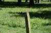 dsc_3495_fs_small.jpg