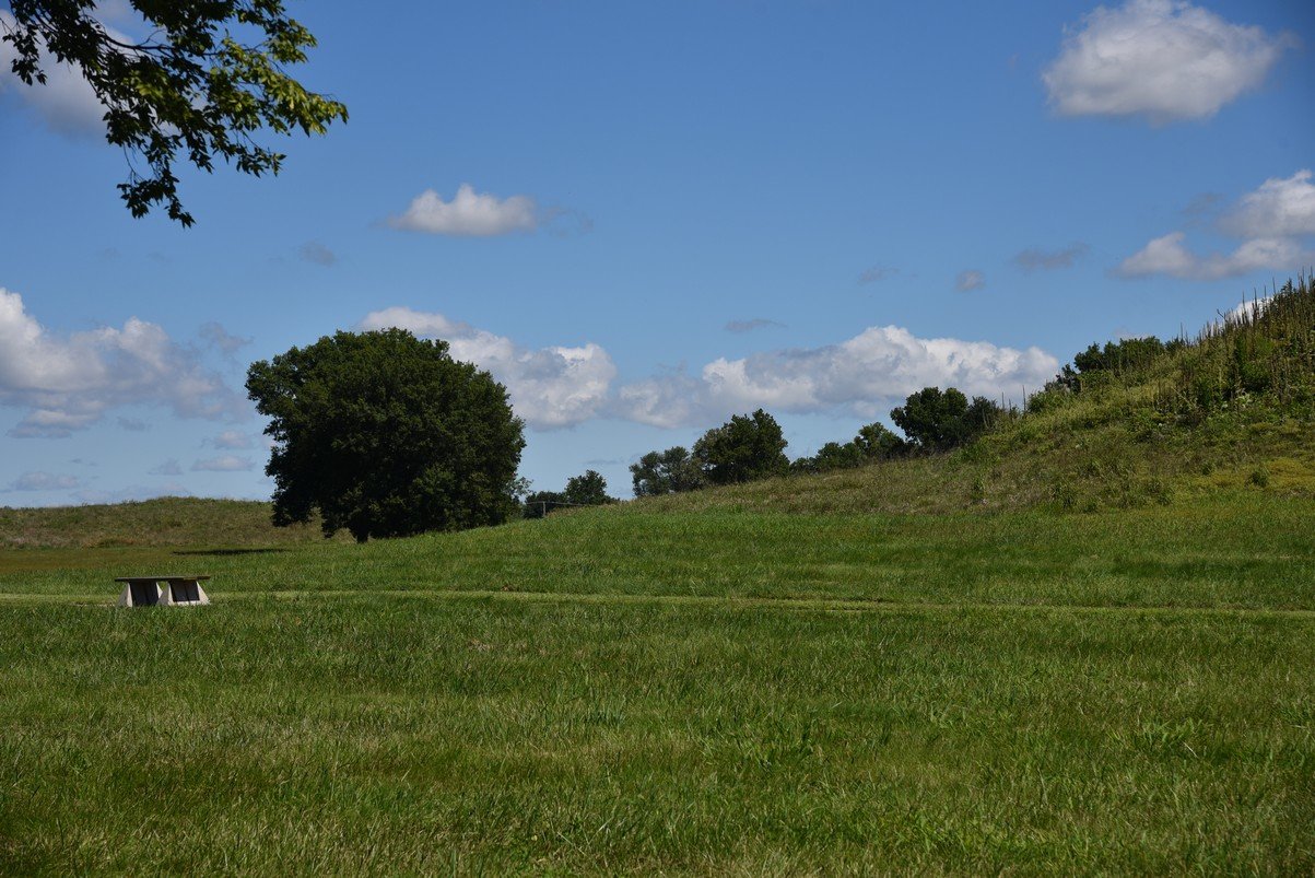 dsc_3499_fs.jpg