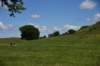 dsc_3499_fs_small.jpg