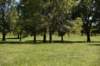 dsc_3504_fs_small.jpg