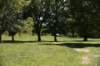 dsc_3505_fs_small.jpg