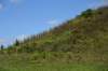 dsc_3506_fs_small.jpg
