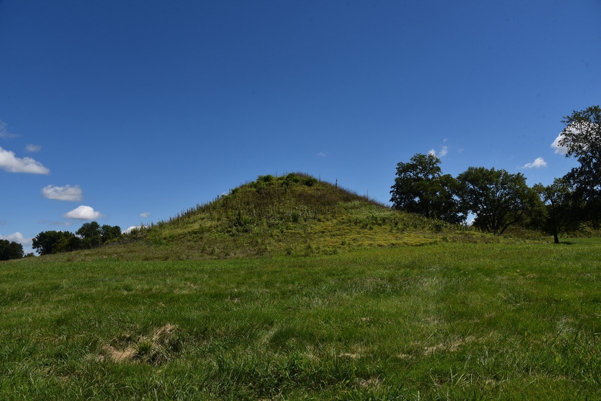 dsc_3507_fs.jpg