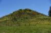dsc_3508_fs_small.jpg